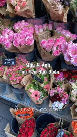 [4]Tình Yêu Ngủ Quên