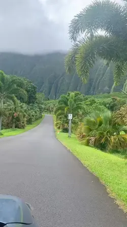 Aesthetic Vlog