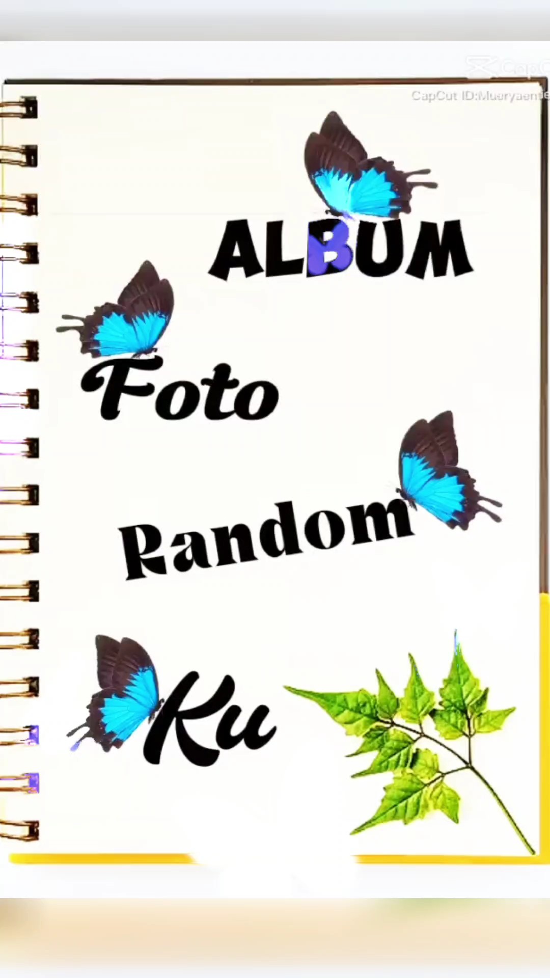Cover Picture