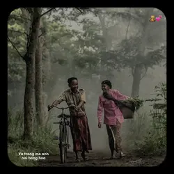 nhẹ nhàng + màu 