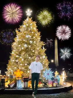 Christmas tree 