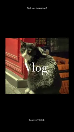 Chill film- Long ver