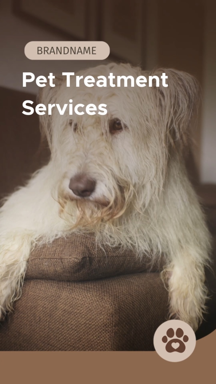 Affichage minimaliste de la marque du service de soins pour animaux de compagnie de style marron