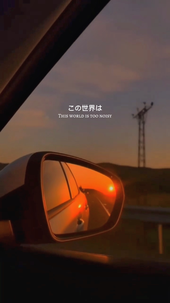 japonya alıntı
