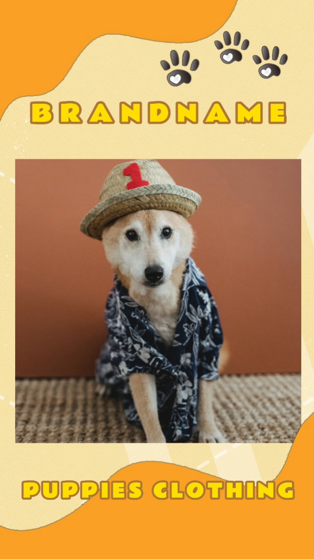 Pet's Clothing