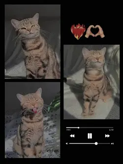 3 photos of you