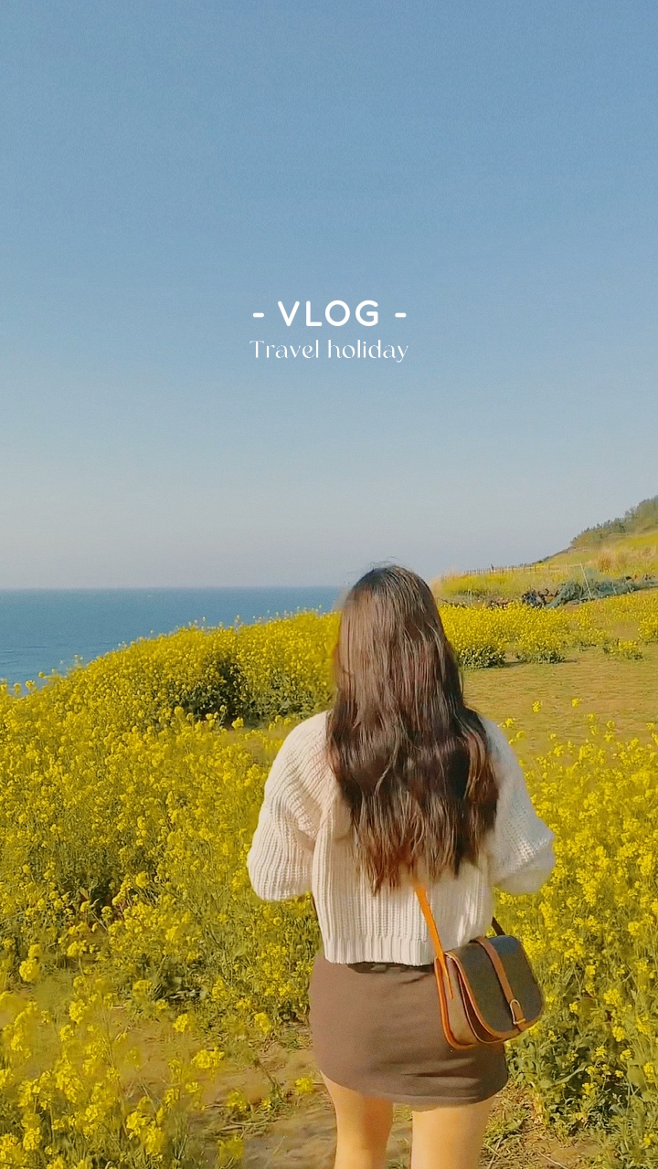 Vlog- Film