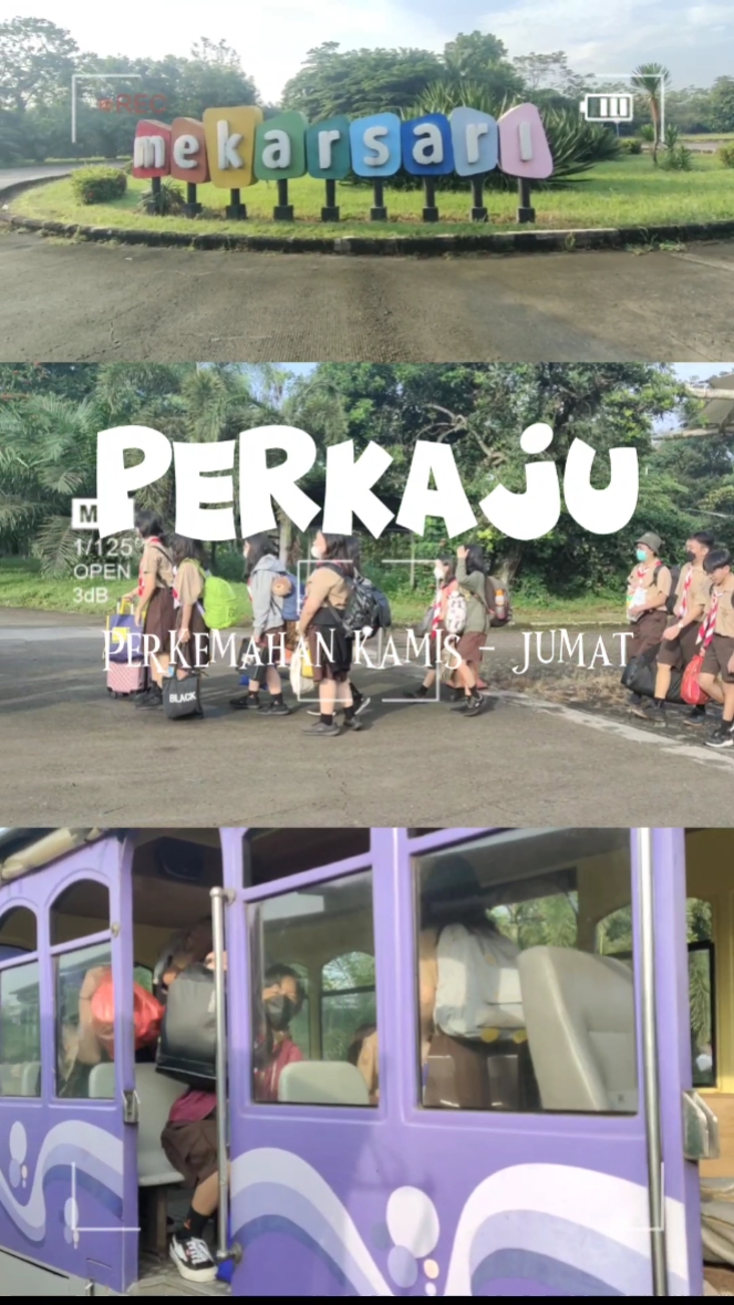 Acampar