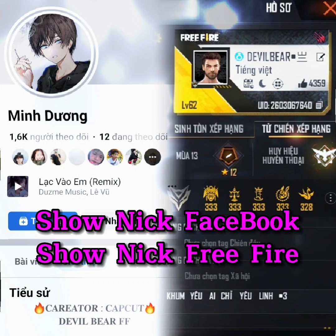 Tampilkan Nick FB & FF