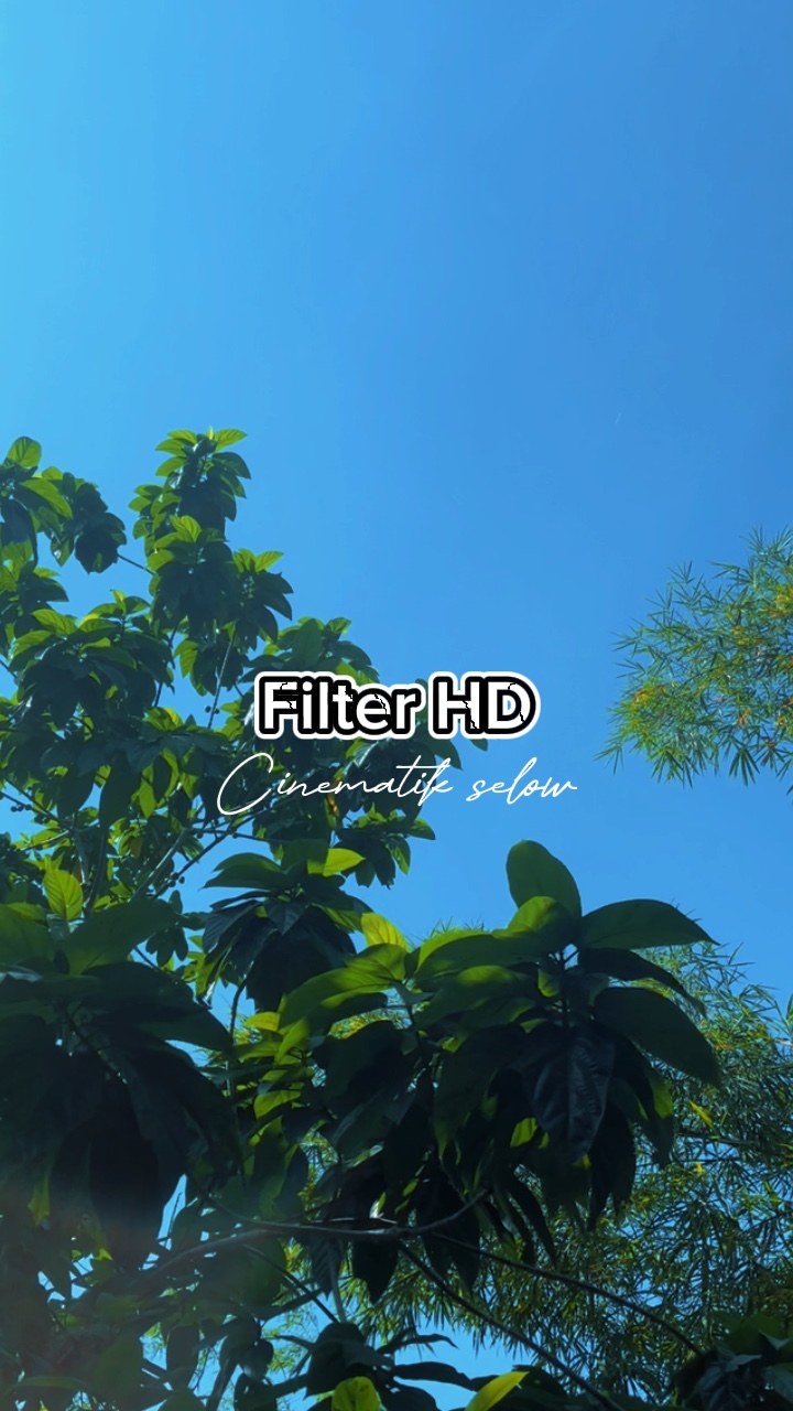 Vidéo Cinematik 5