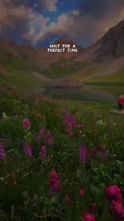 Wait Only