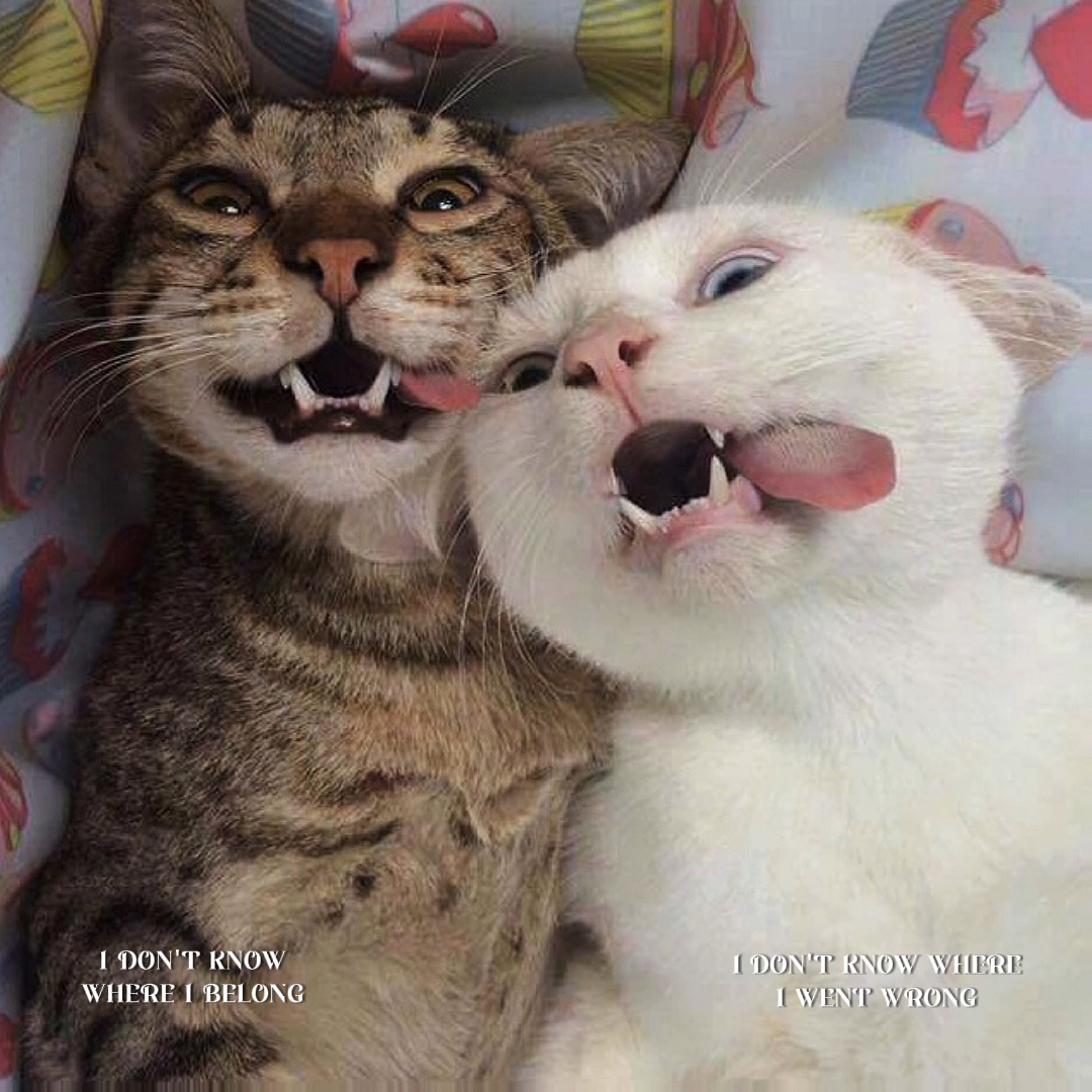 #duet