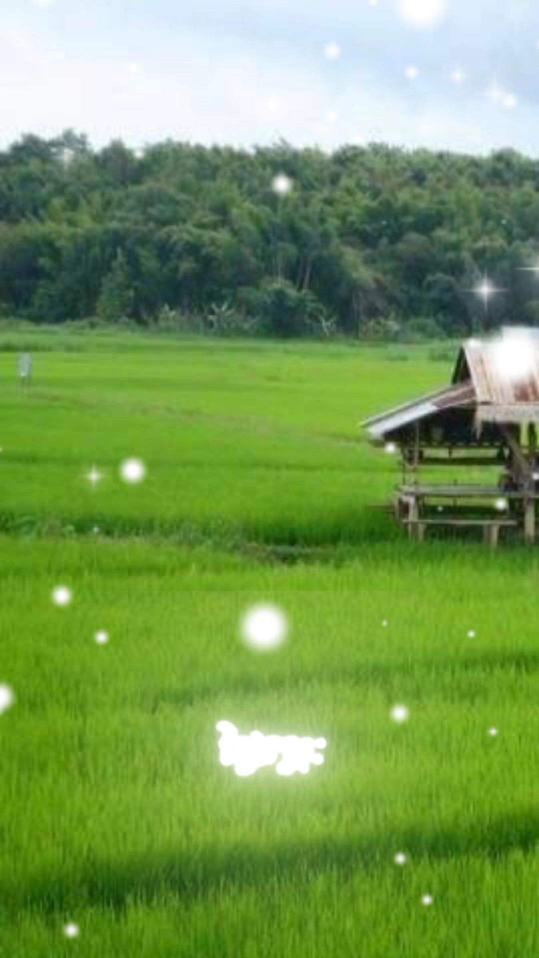 ថ្ងៃ 14 កុម្ភៈ