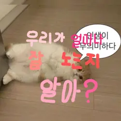 우리가 얼마나 잘 노는지 알아?
