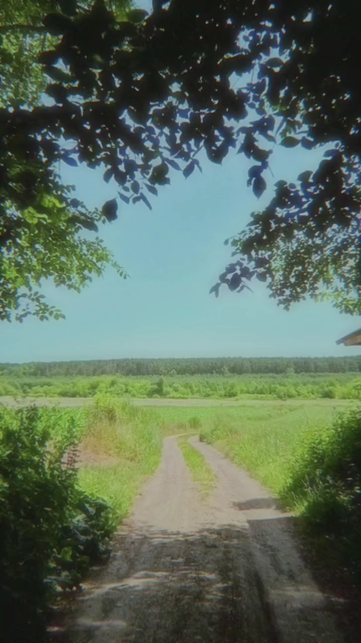Nostaljik