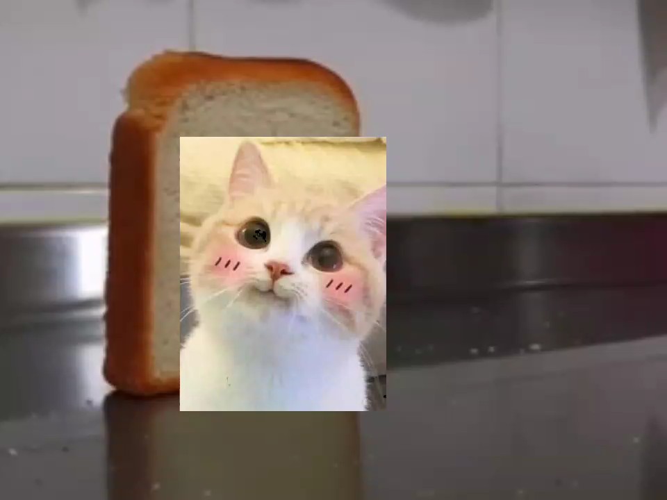 cute?