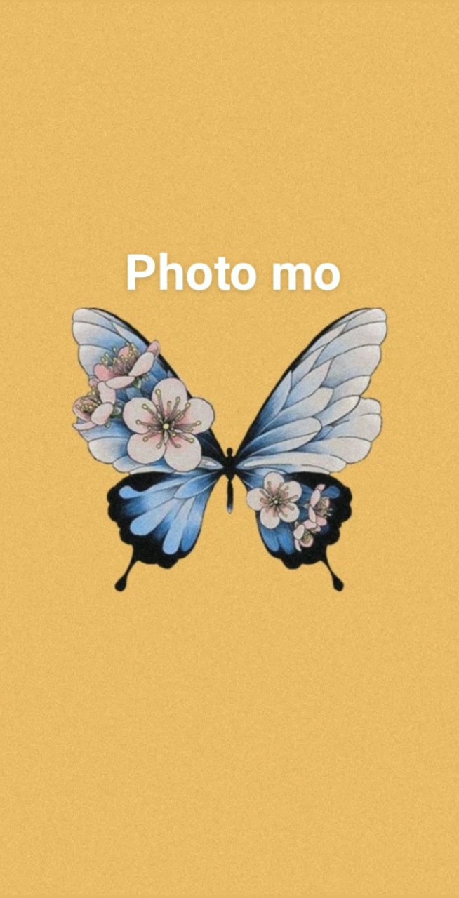 6 photo