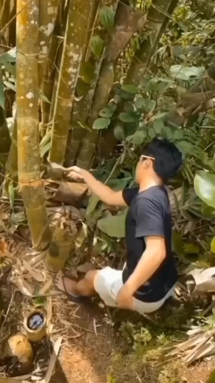 Bambu