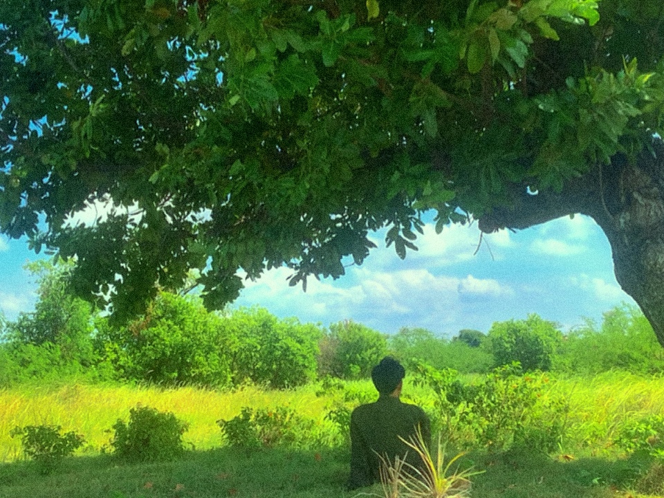 aesthetic nature