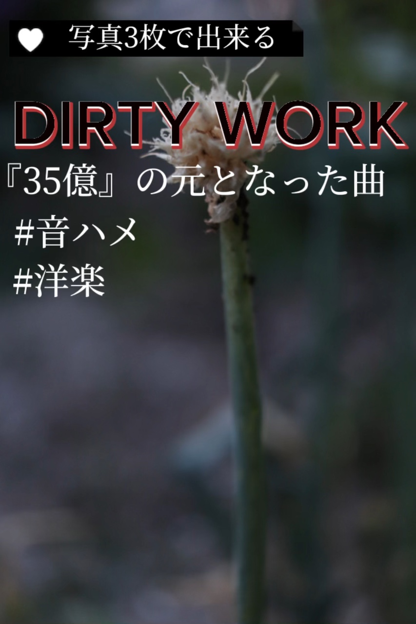 Cover Picture