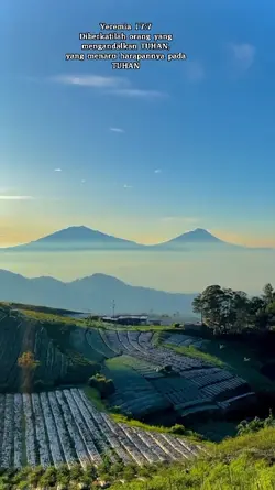 teks bisa di ganti