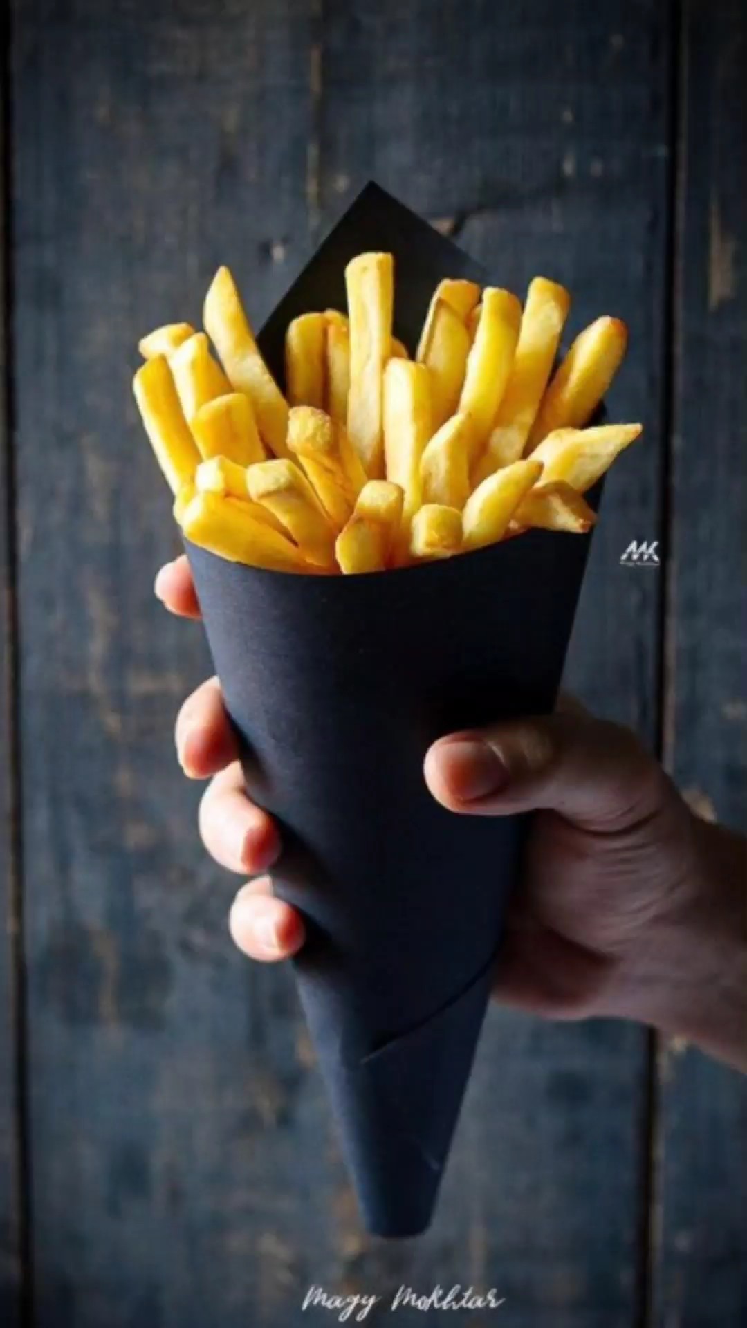 french fries