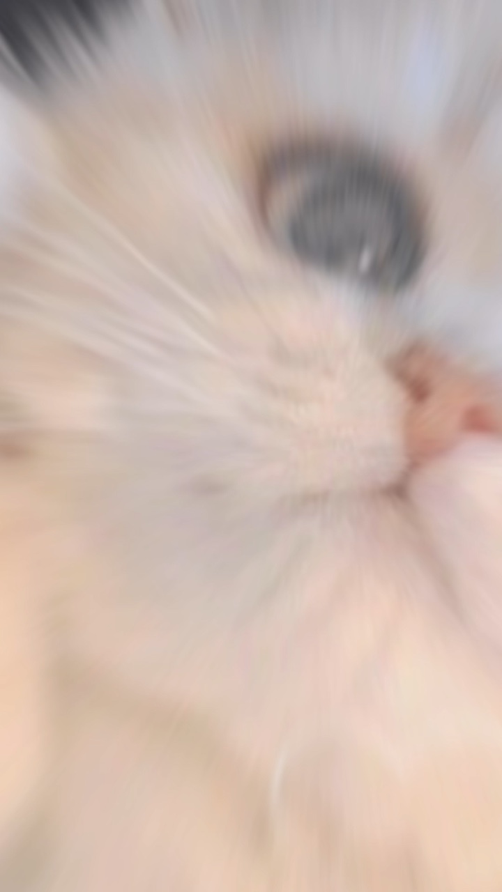 📸7枚です.ᐟ.ᐟ