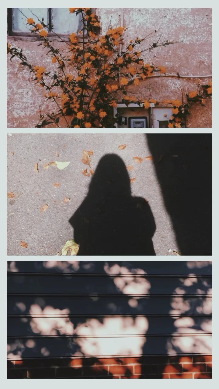 3 foto ästhetik 
