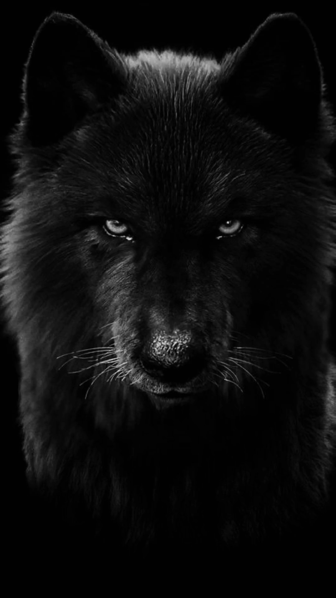 Schwarze Wolfsfrau
