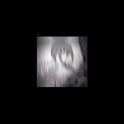 2 ảnh+lyr
