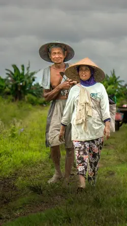 Ganti filter estetik