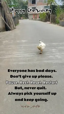 Never give up