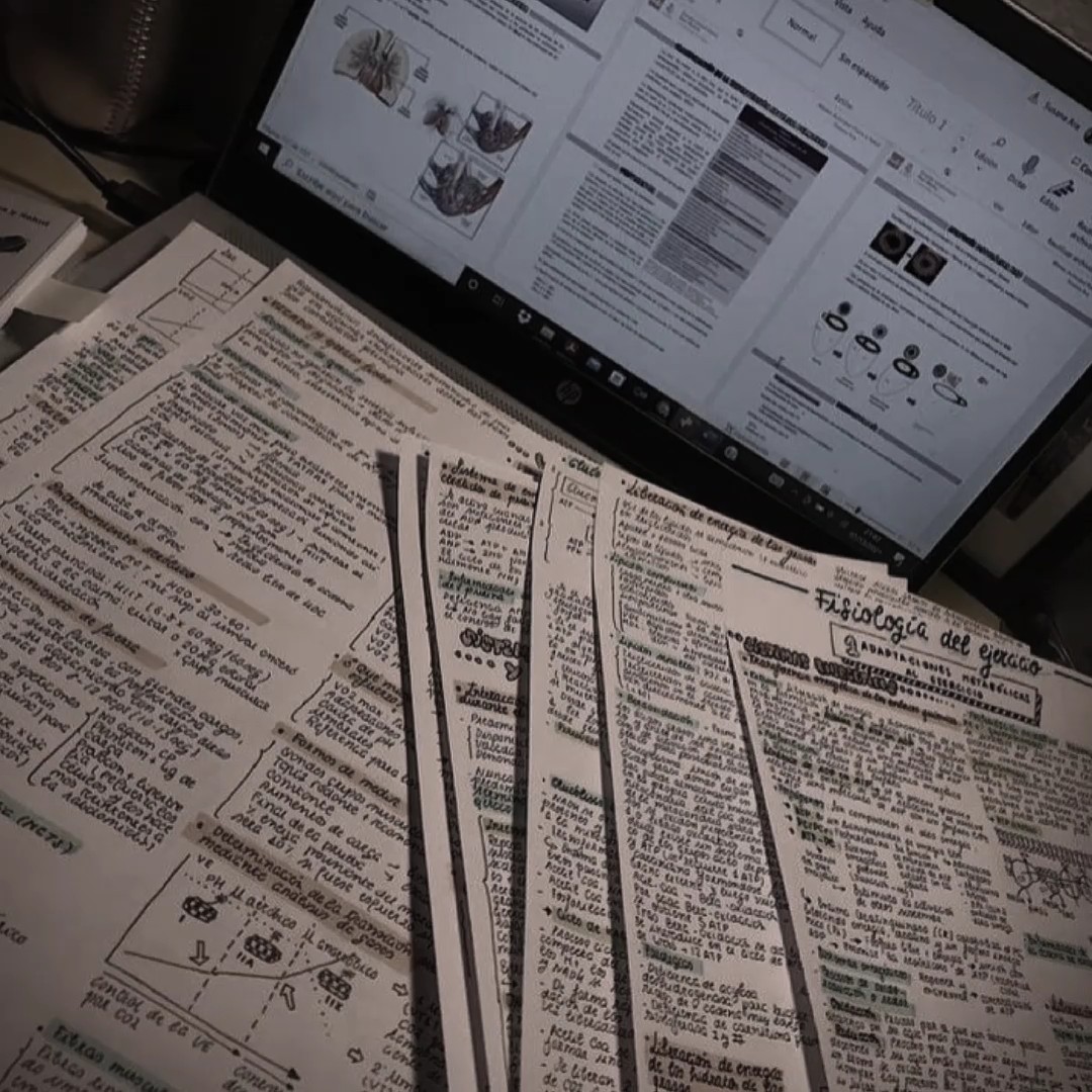 Estudio