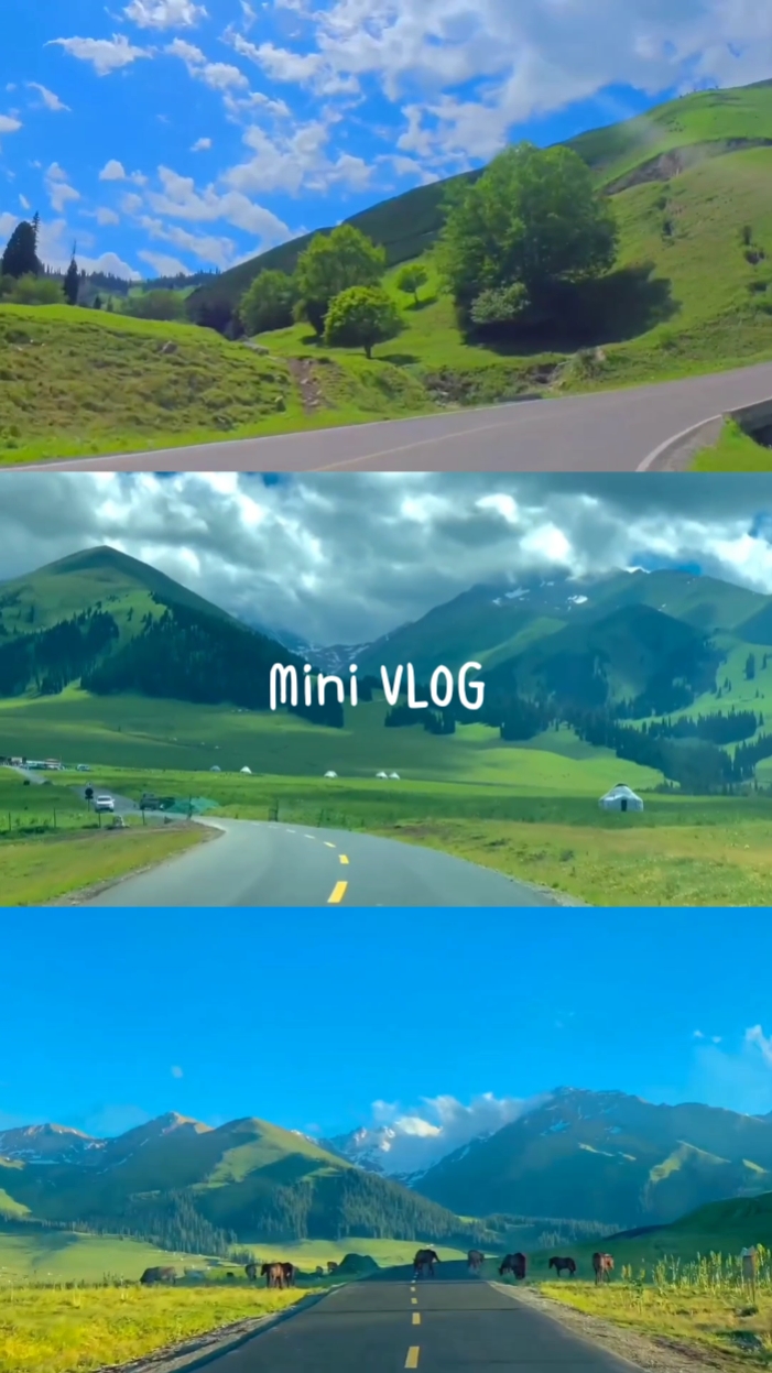 9Landscape+2Potrait