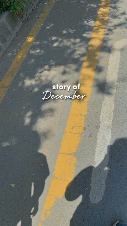 Historia de diciembre