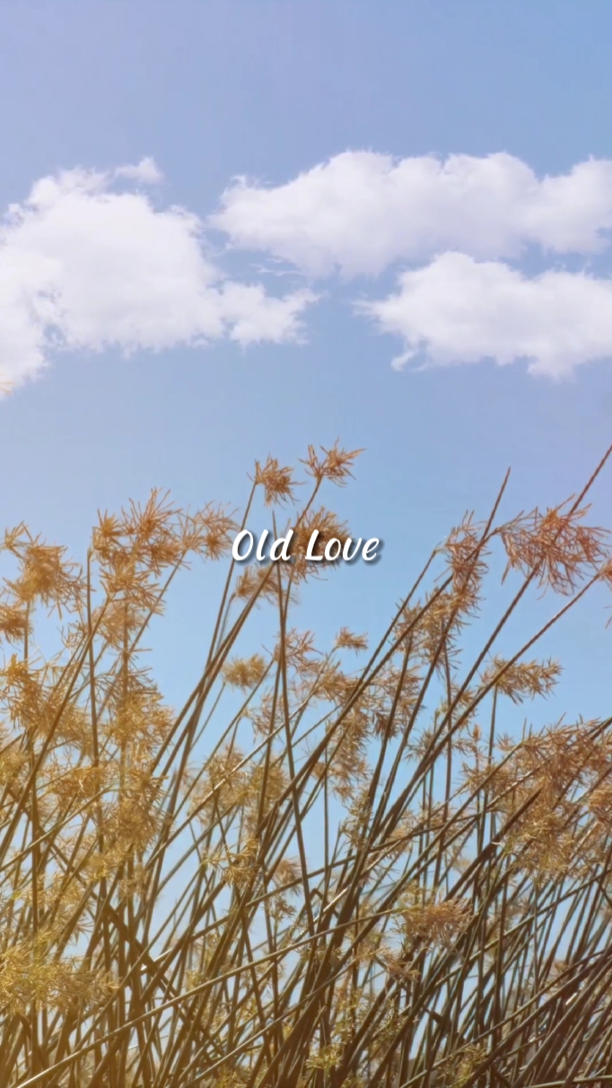 Old Love
