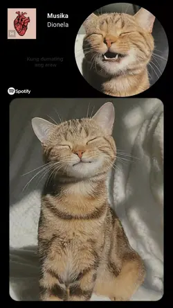Musika