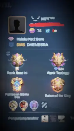 Profil mlbb