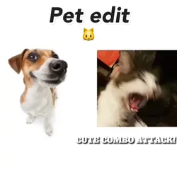 pet edit