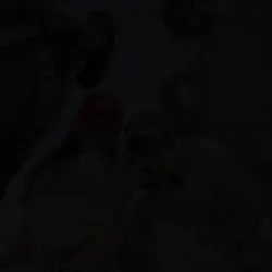 DsniJuaMemoriTrcipta