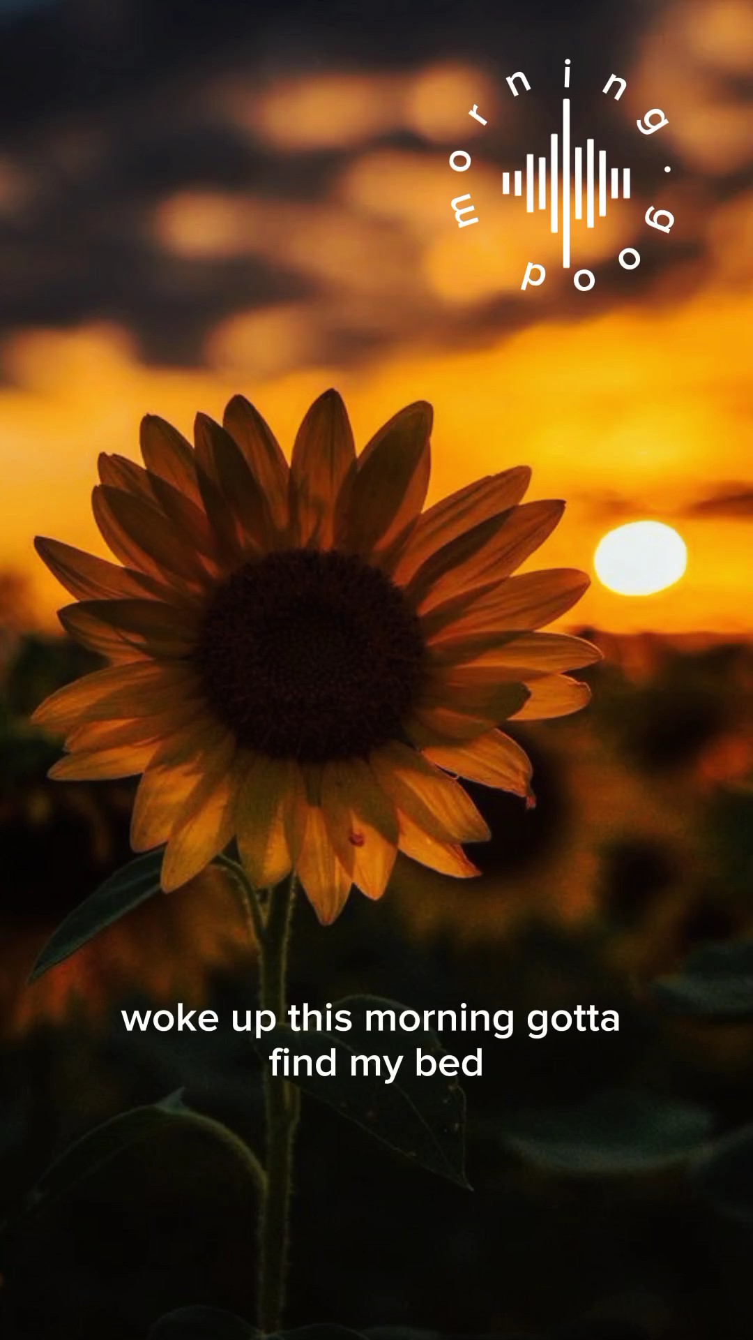 Guten Morgen