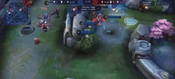 Moment Savage
