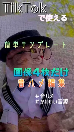 昔懐かしい音源！！｜音ハメ動画