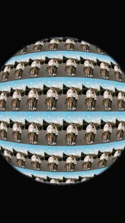 trend fish eye
