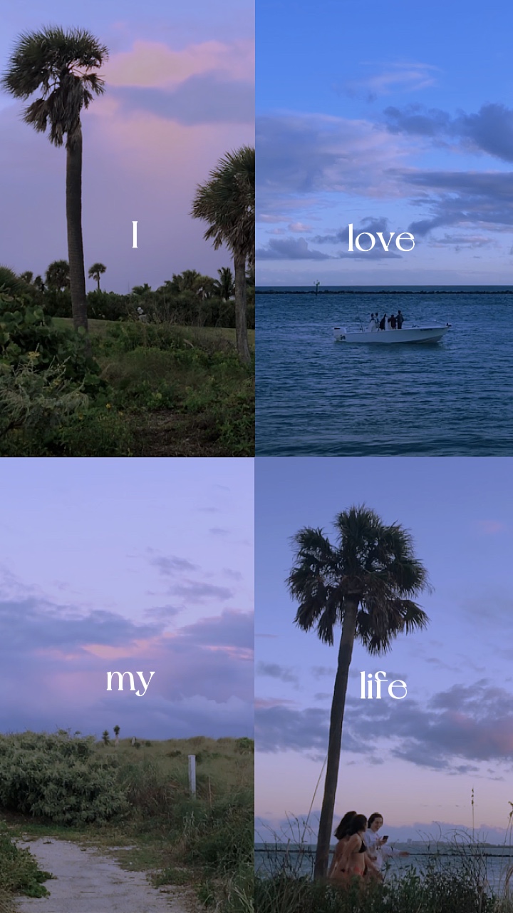 Eu Amo Minha Vida