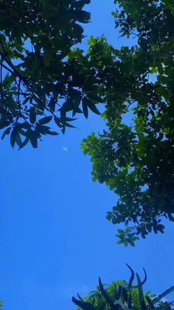 Mẫu phong cảnh 29p