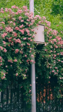 2 ảnh nhẹ nhàng 