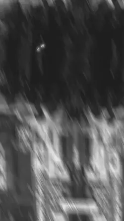 ご自由に使ってください!