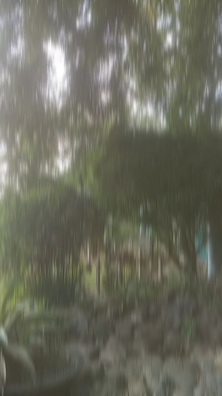 Buenos recuerdos