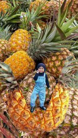 Pineapple kid 16